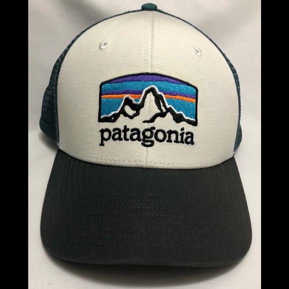 Patagonia Other - Patagonia Fitz Roy Horizons Trucker Hat